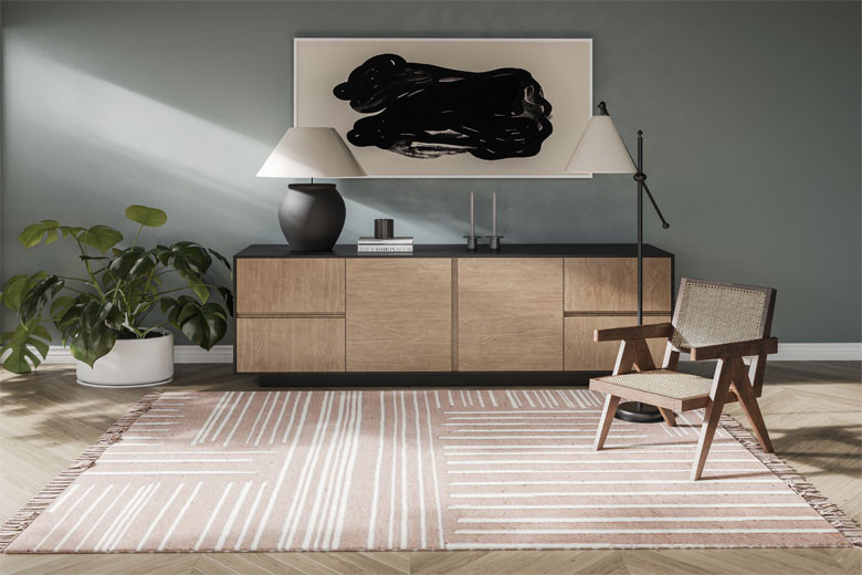 Interior Decoratio by house of rugs.