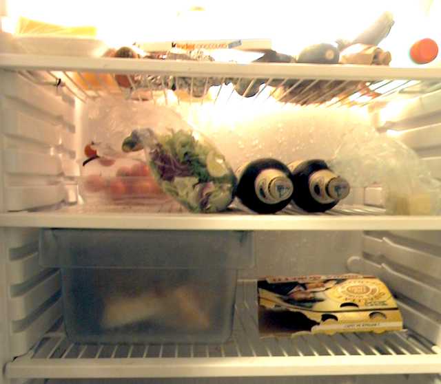 Is Your Refrigerator Keeping Your Food Fresh? | Goodhomes.co.in